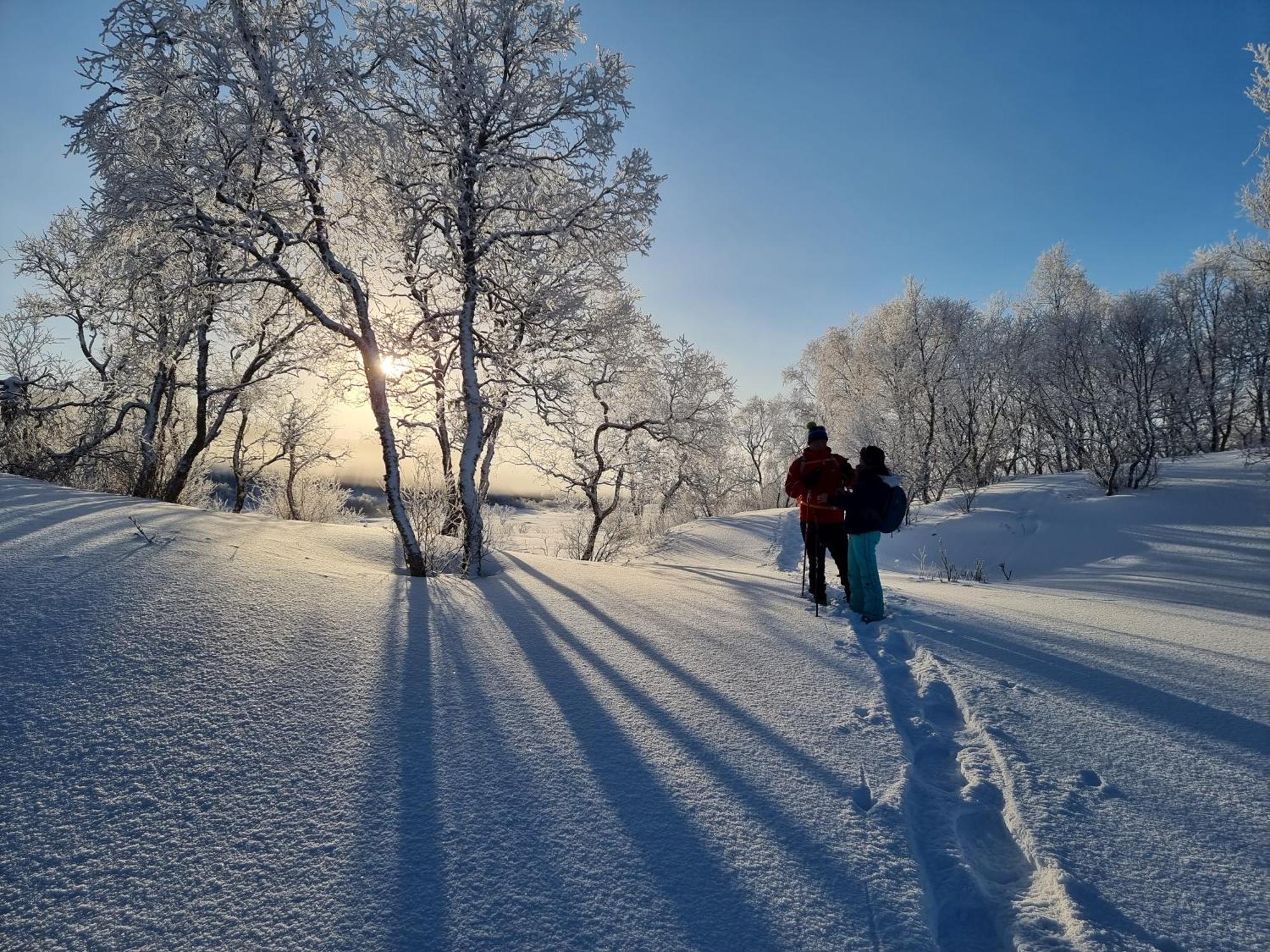 Ringstad Resort Bo (Nordland) Luaran gambar